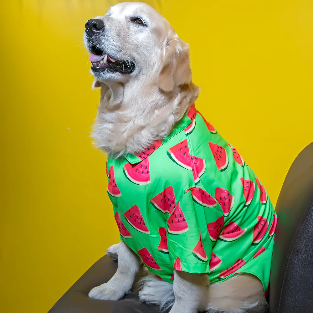 15buttons Watermelon Shirt for Dogs - Image 7