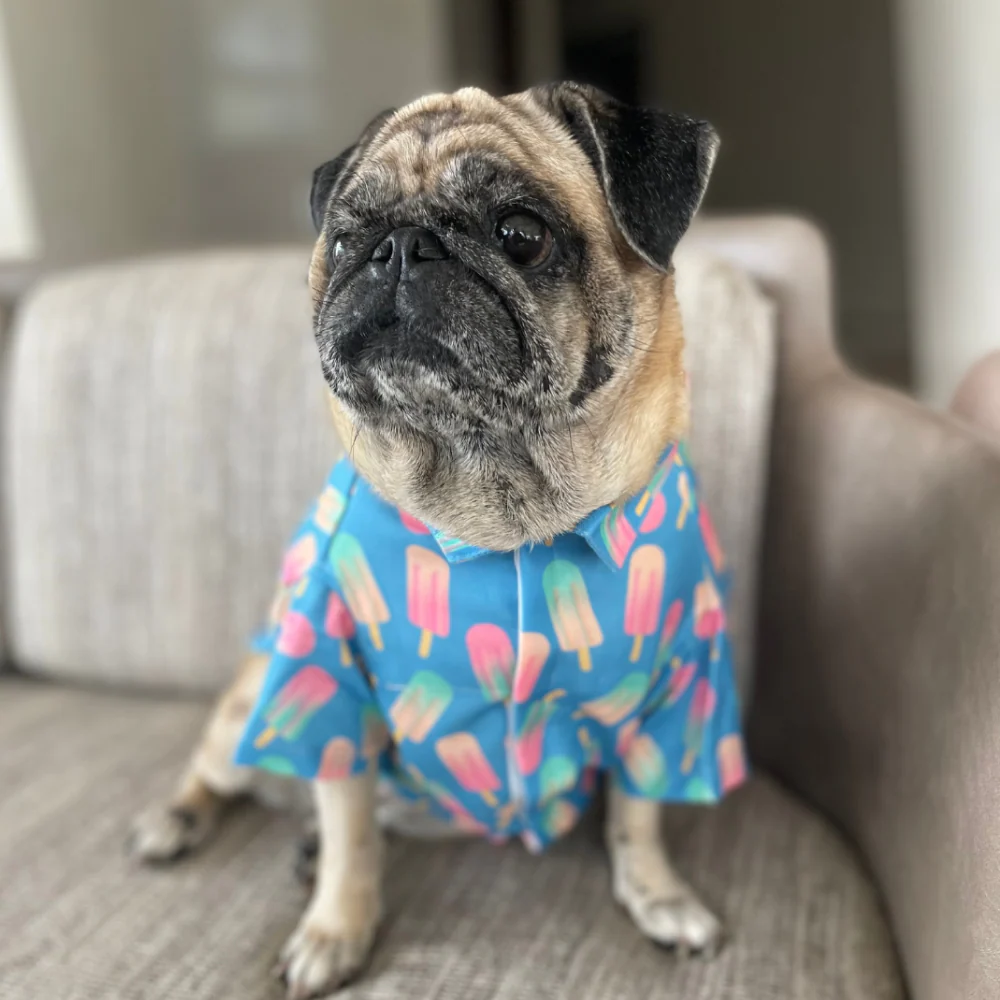 15buttons Ice Candy Shirt for Dogs - Image 3