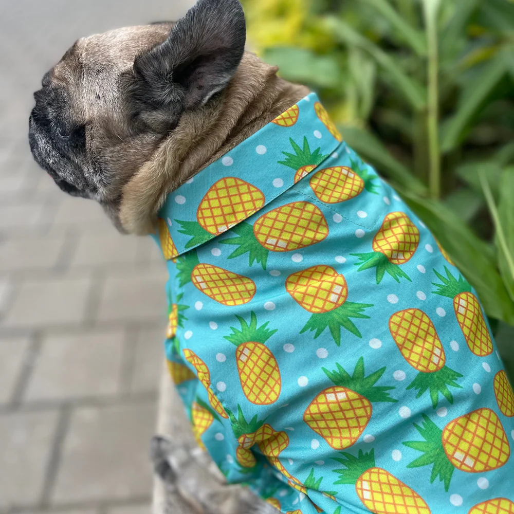 15buttons Pineapple Polka Shirt for Dogs - Image 3