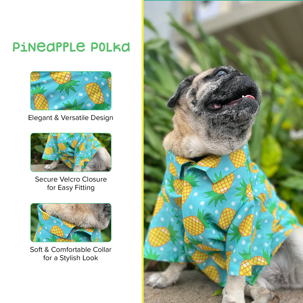 15buttons Pineapple Polka Shirt for Dogs - Image 4