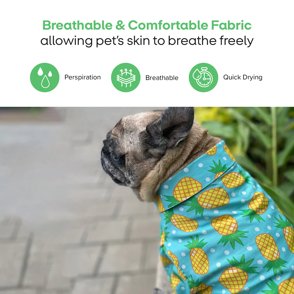 15buttons Pineapple Polka Shirt for Dogs - Image 5