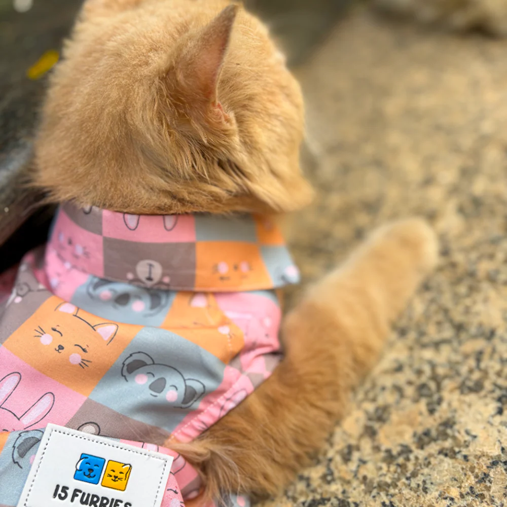 15 Furries Kitty Dreams Shirt for Cats (Multicolour) - Image 10