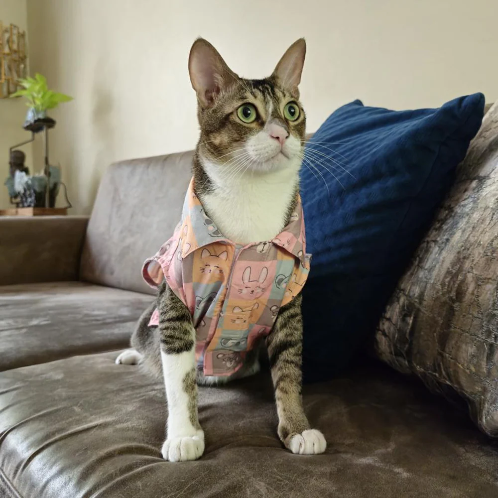 15 Furries Kitty Dreams Shirt for Cats (Multicolour) - Image 11