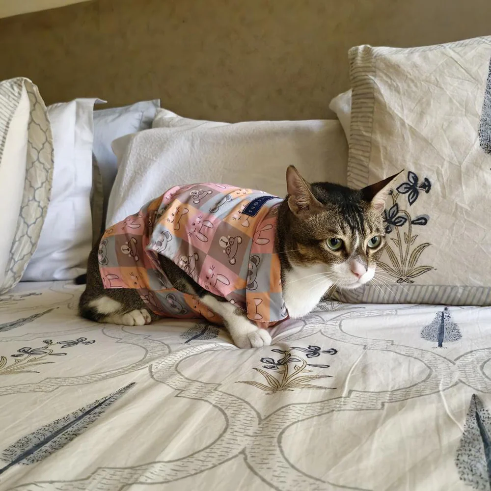 15 Furries Kitty Dreams Shirt for Cats (Multicolour) - Image 12