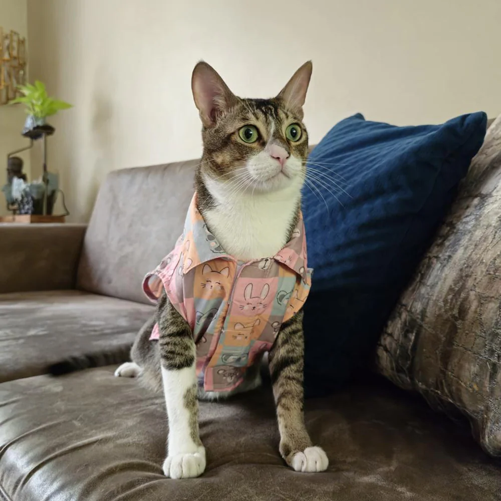 15 Furries Kitty Dreams Shirt for Cats (Multicolour) - Image 2