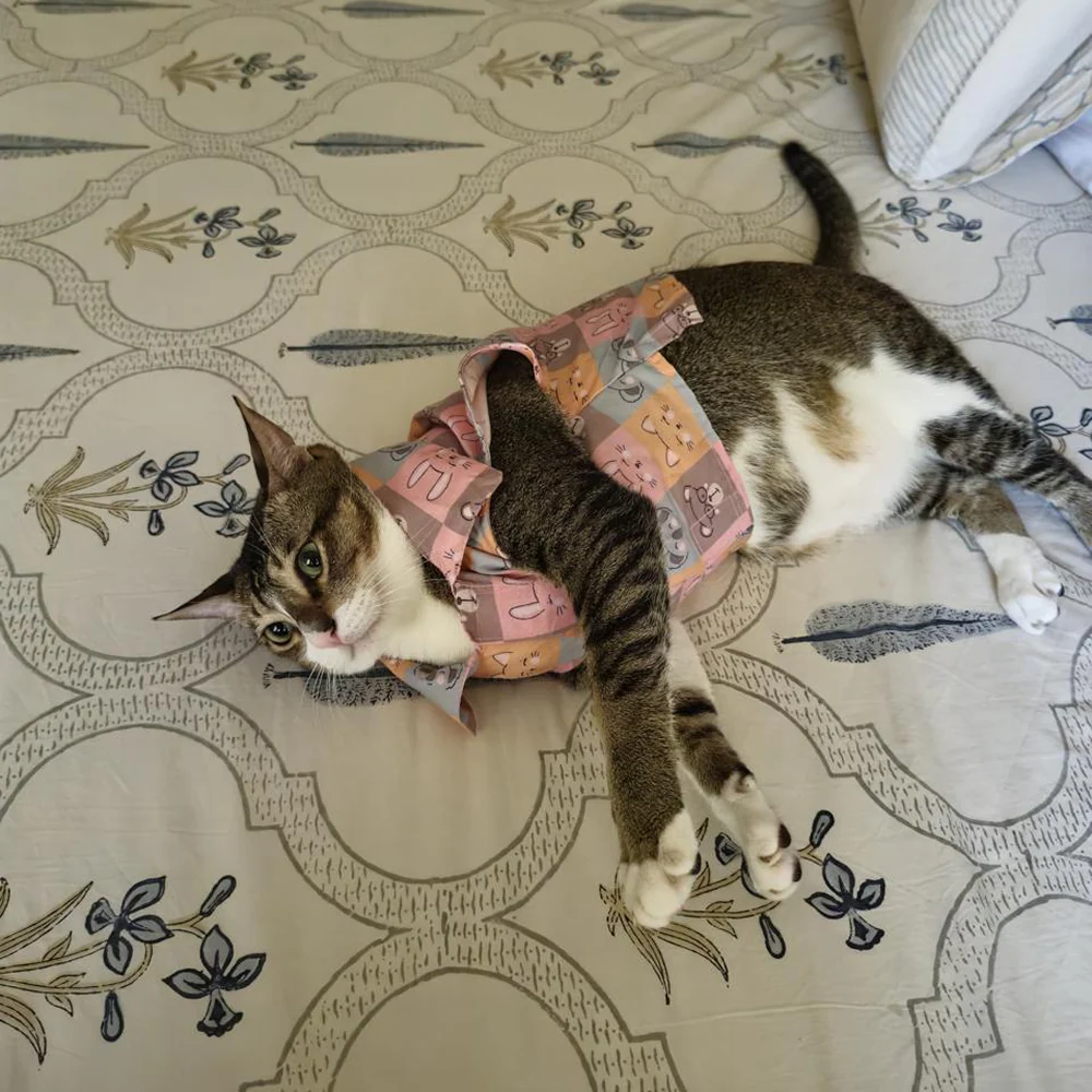 15 Furries Kitty Dreams Shirt for Cats (Multicolour) - Image 4