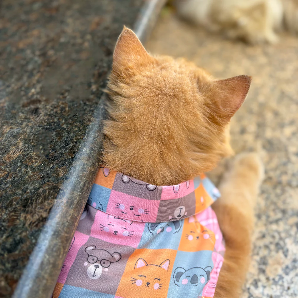 15 Furries Kitty Dreams Shirt for Cats (Multicolour) - Image 9