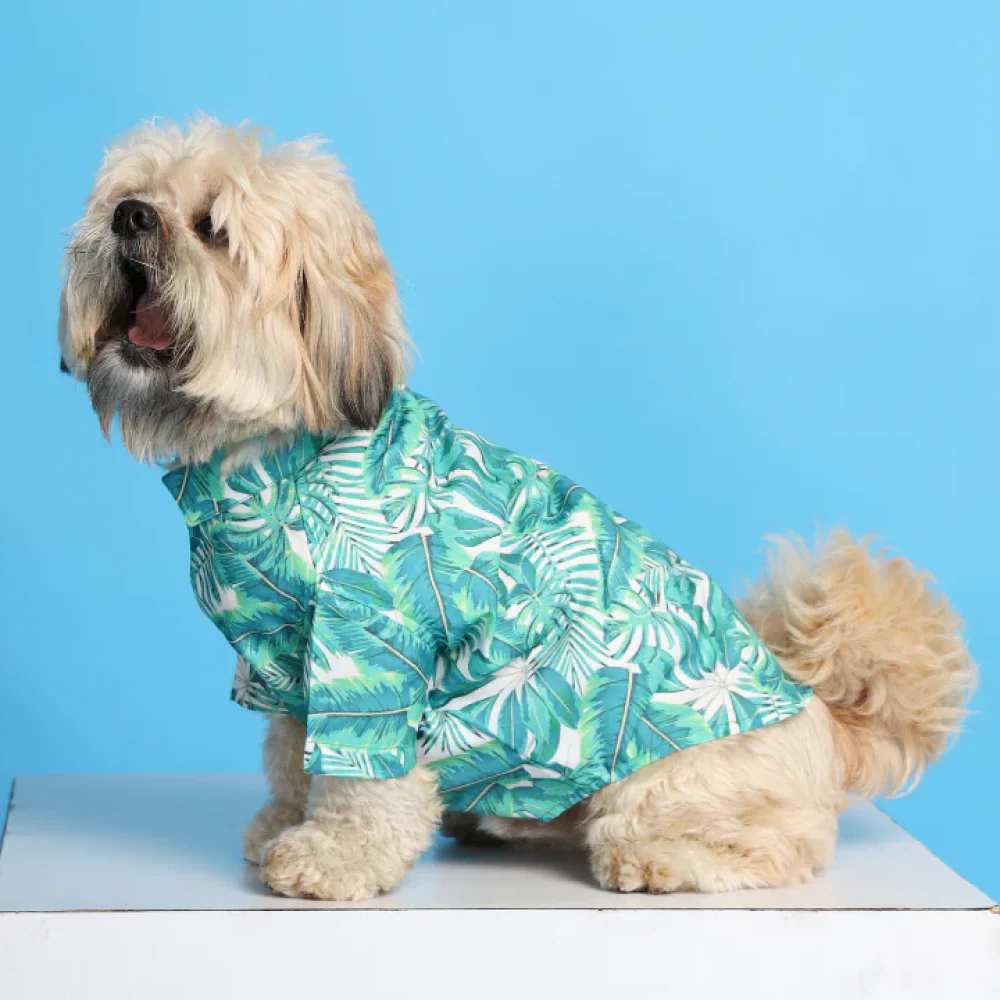 15buttons Rainforest Shirt for Dogs - Image 3