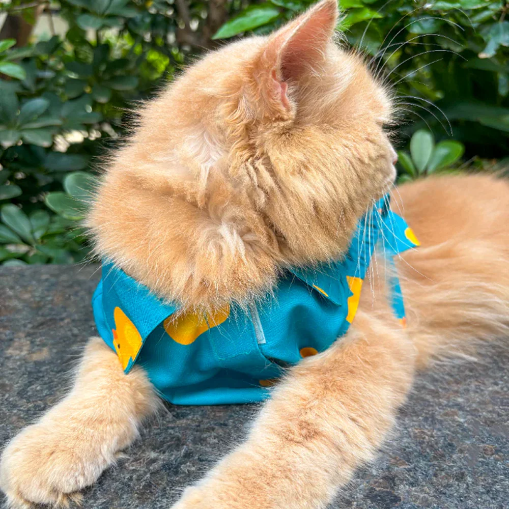 15 Furries Little Duckling Shirt for Cats (Green and yellow) - Image 2