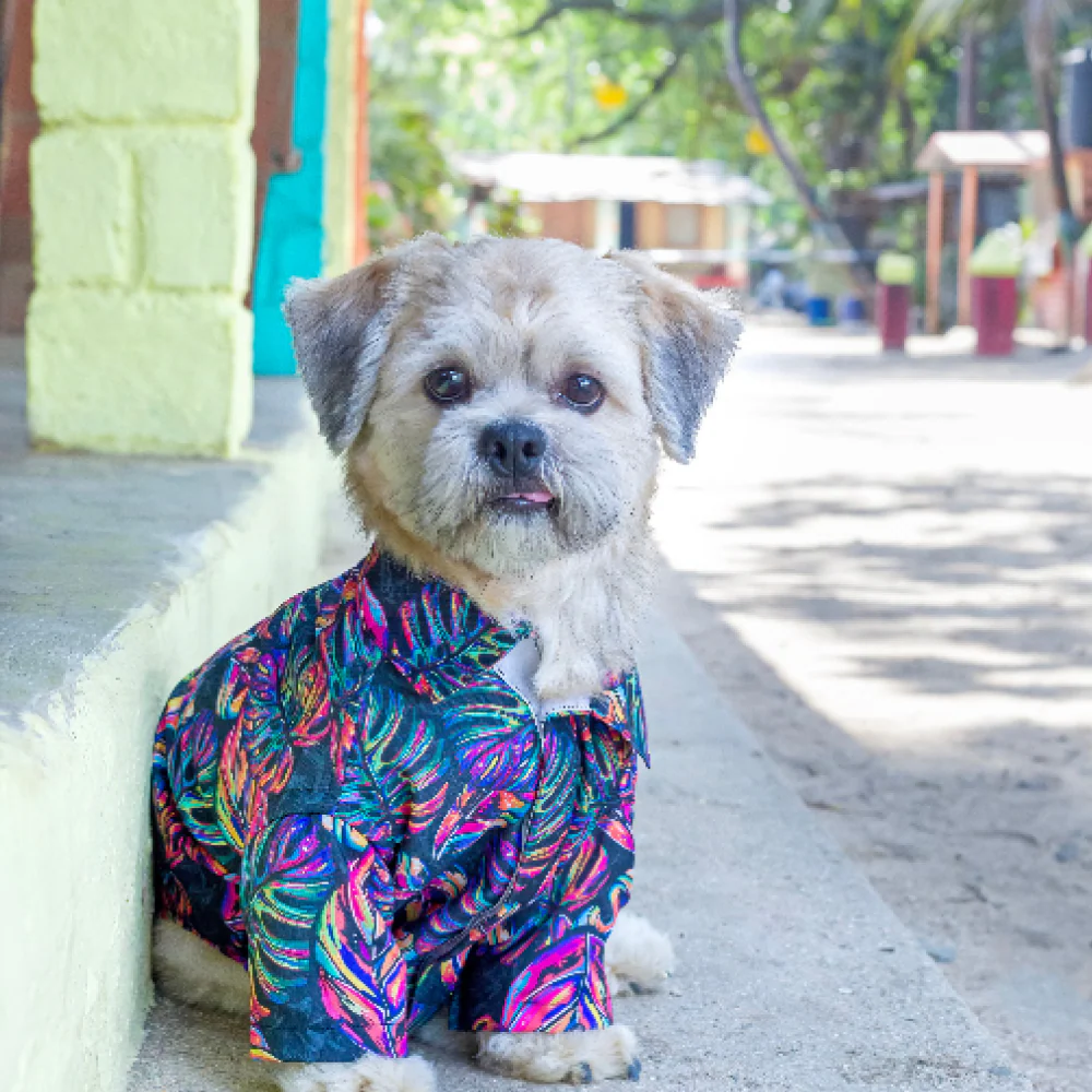 15buttons Neon Tropical Shirt for Dogs - Image 3