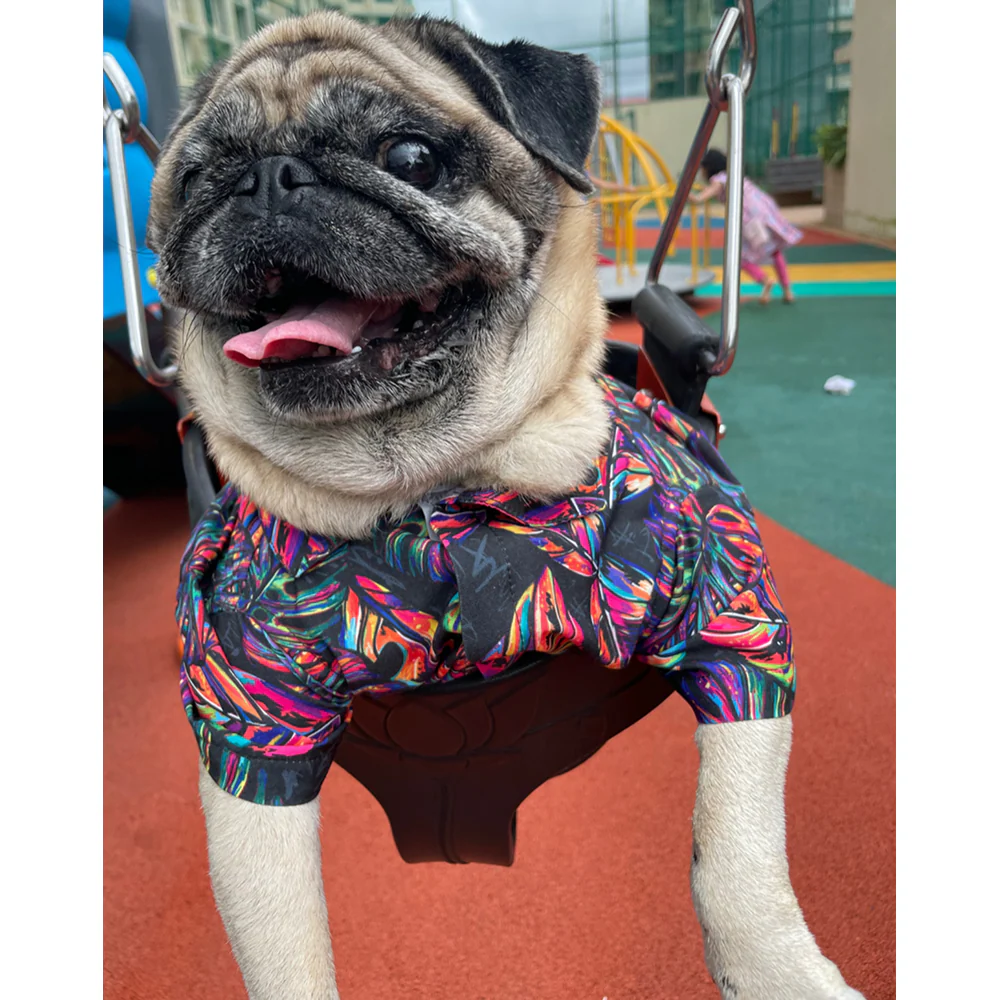 15buttons Neon Tropical Shirt for Dogs - Image 4