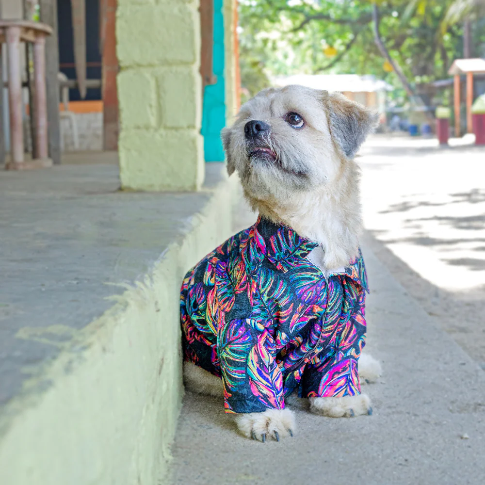 15buttons Neon Tropical Shirt for Dogs - Image 5