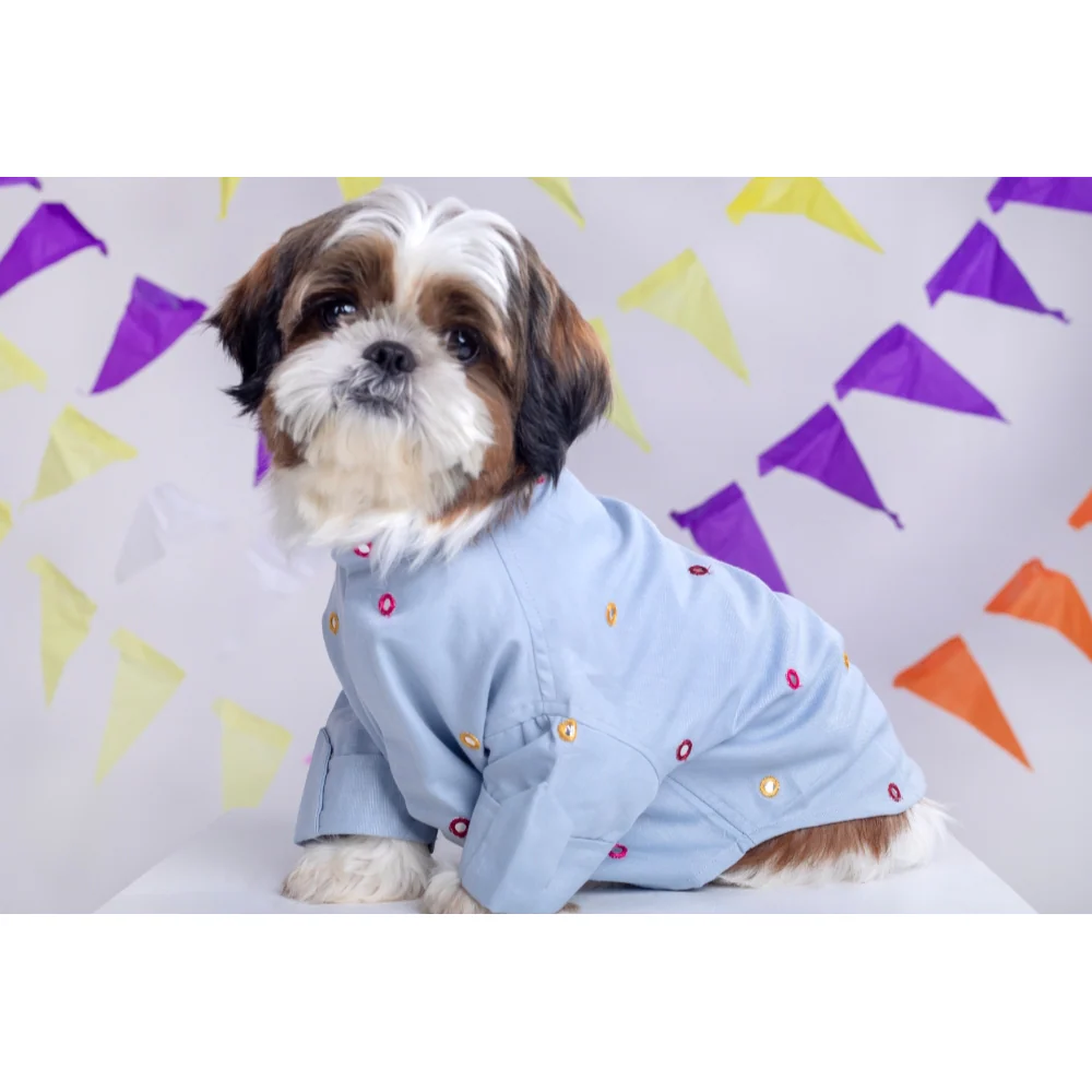 15buttons Mirrorwork Kurta for Dogs (Powder Blue) - Image 3