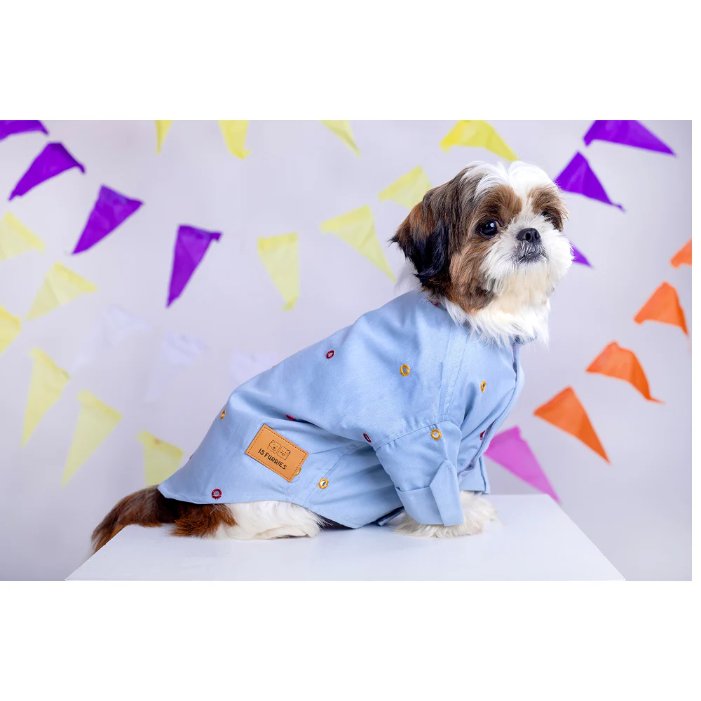 15buttons Mirrorwork Kurta for Dogs (Powder Blue) - Image 5