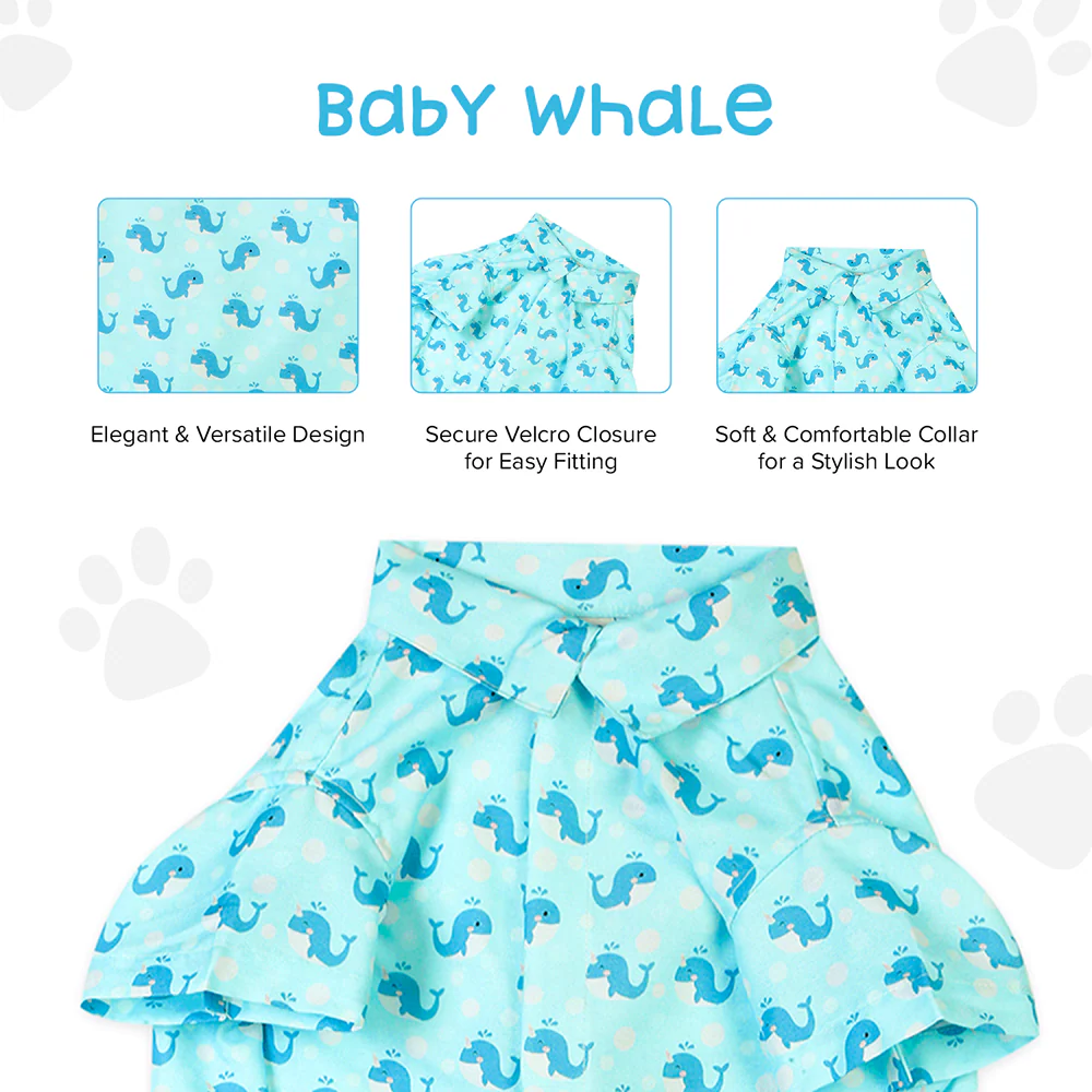 15buttons Baby Whale Shirt for Dogs - Image 5