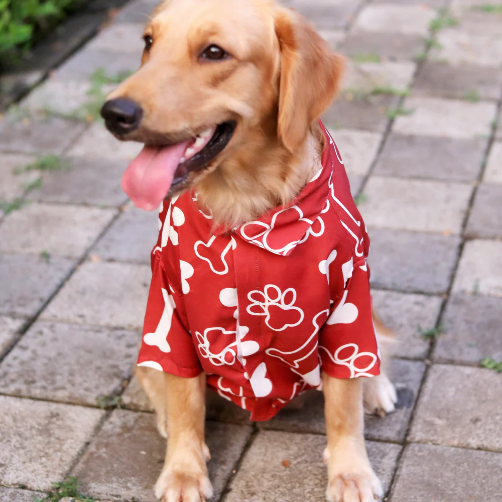 15buttons Paws-tive Love Shirt for Dogs - Image 2