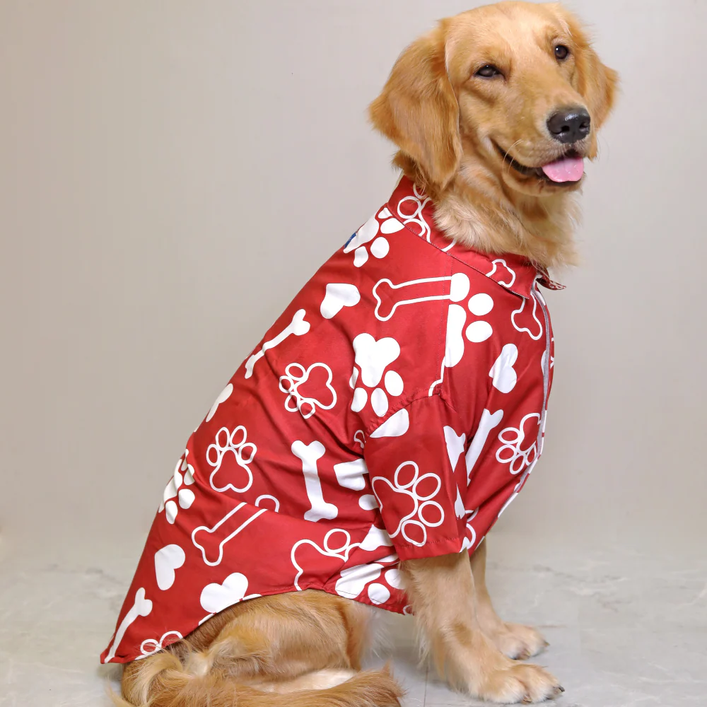 15buttons Paws-tive Love Shirt for Dogs - Image 3