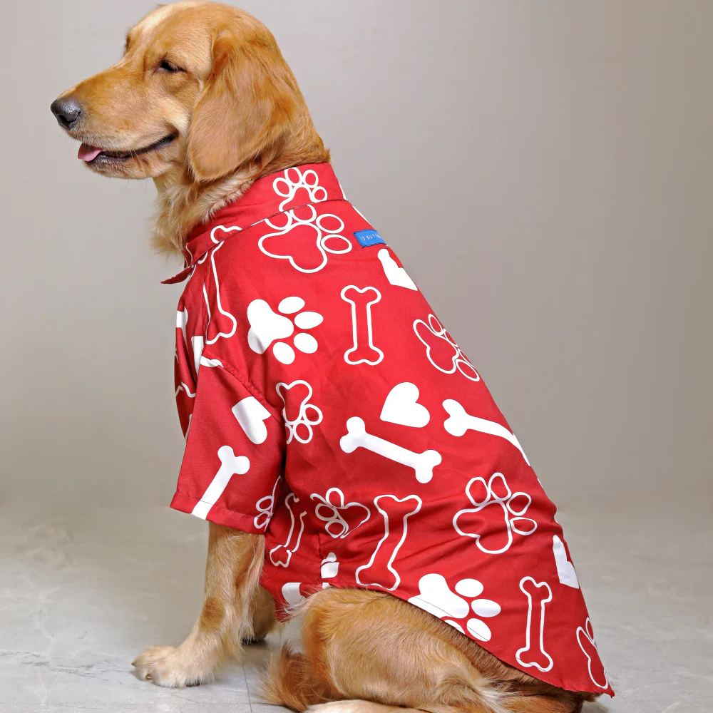 15buttons Paws-tive Love Shirt for Dogs - Image 4