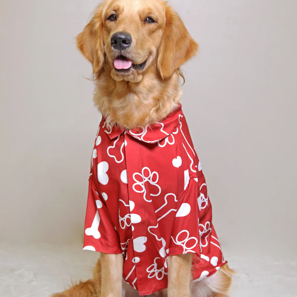 15buttons Paws-tive Love Shirt for Dogs - Image 5