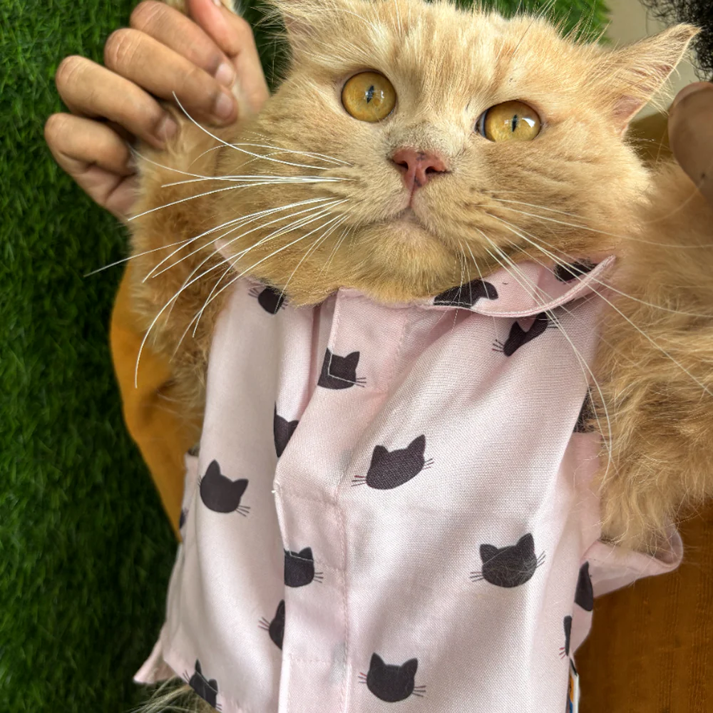 15 Furries Purfect pink Shirt for Cats (Pink) - Image 11