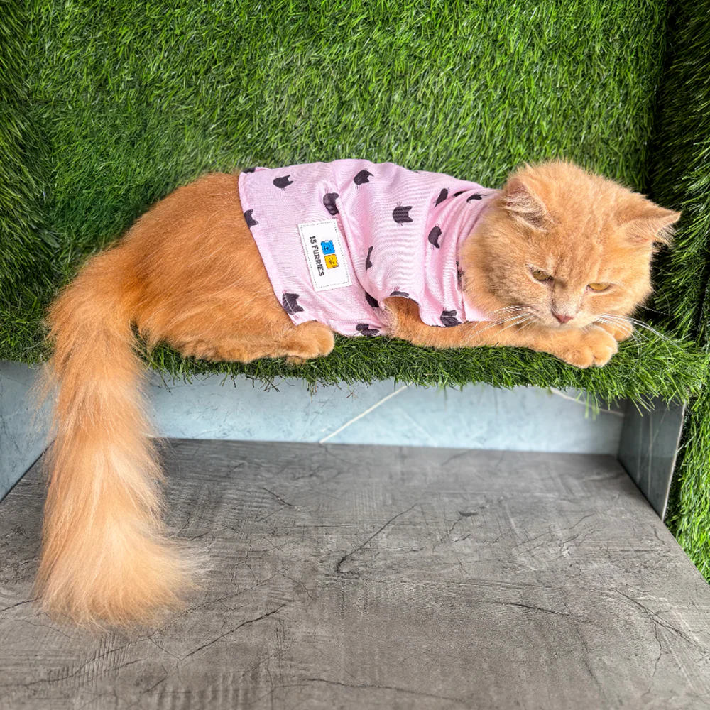 15 Furries Purfect pink Shirt for Cats (Pink) - Image 3