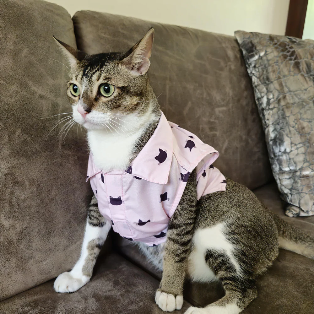 15 Furries Purfect pink Shirt for Cats (Pink) - Image 4