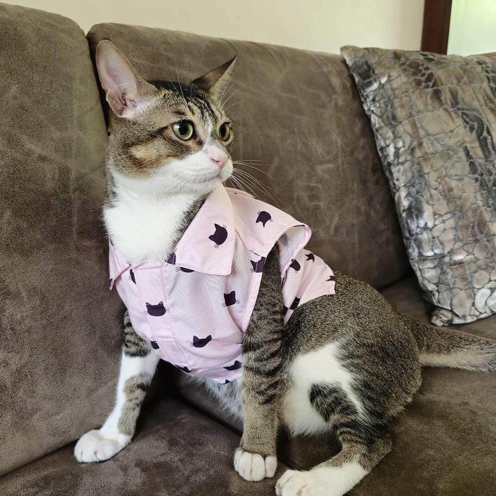 15 Furries Purfect pink Shirt for Cats (Pink) - Image 7