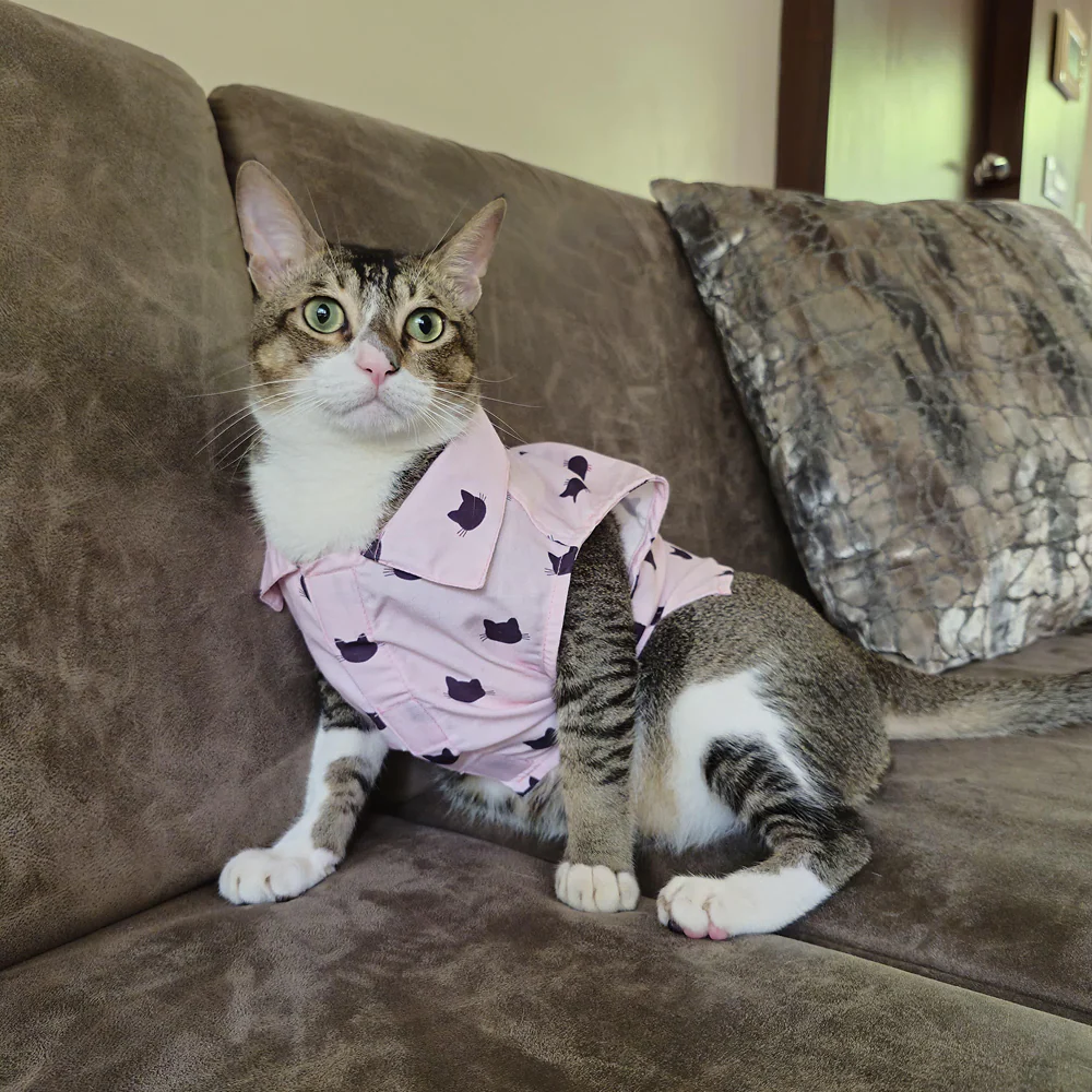 15 Furries Purfect pink Shirt for Cats (Pink) - Image 8