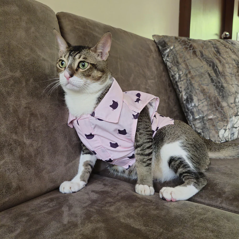 15 Furries Purfect pink Shirt for Cats (Pink) - Image 9