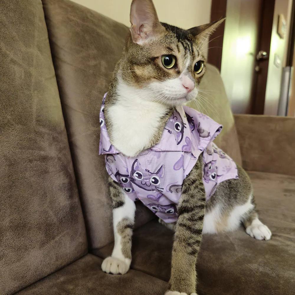 15 Furries Purple Meow Shirt for Cats (Purple) - Image 14