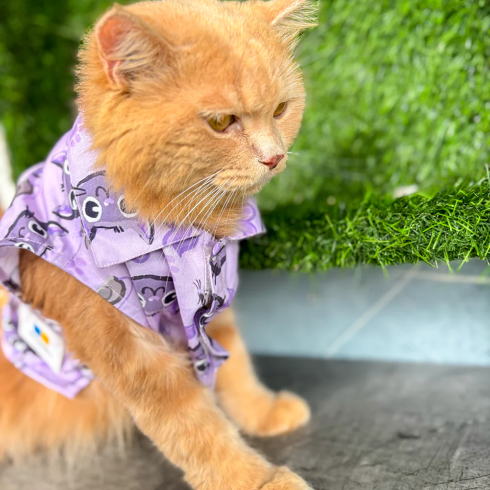 15 Furries Purple Meow Shirt for Cats (Purple) - Image 2