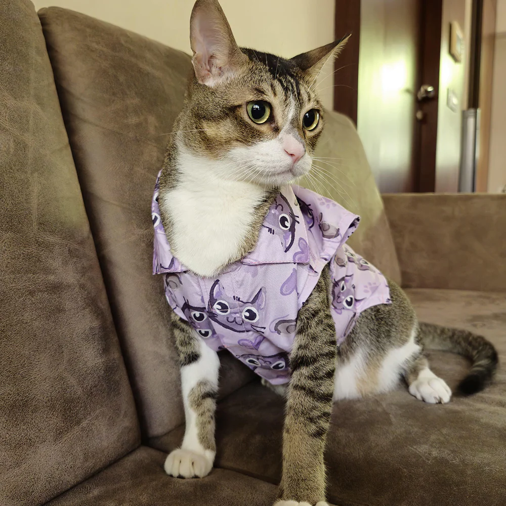 15 Furries Purple Meow Shirt for Cats (Purple) - Image 9