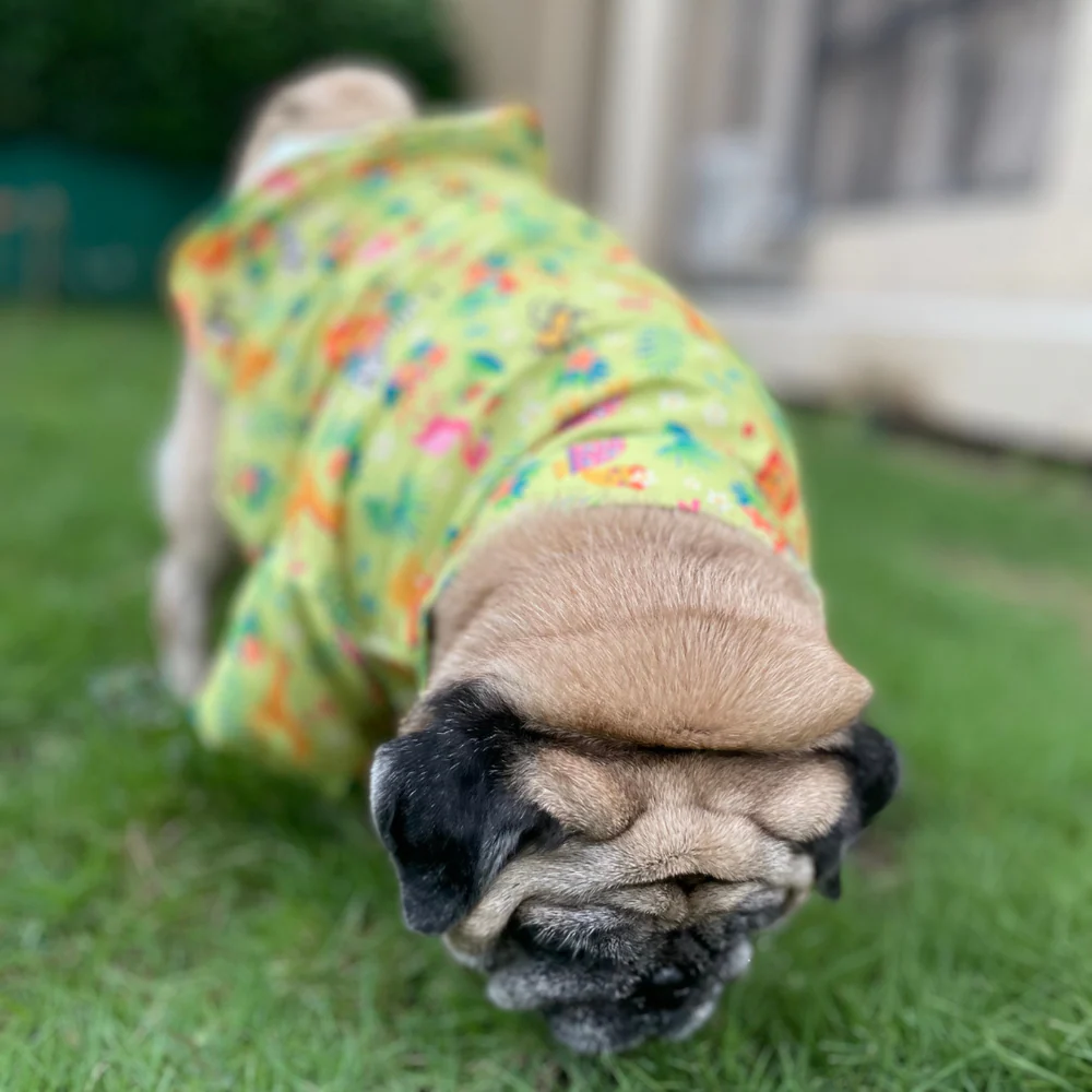 15buttons Madagascar Shirt for Dogs - Image 3
