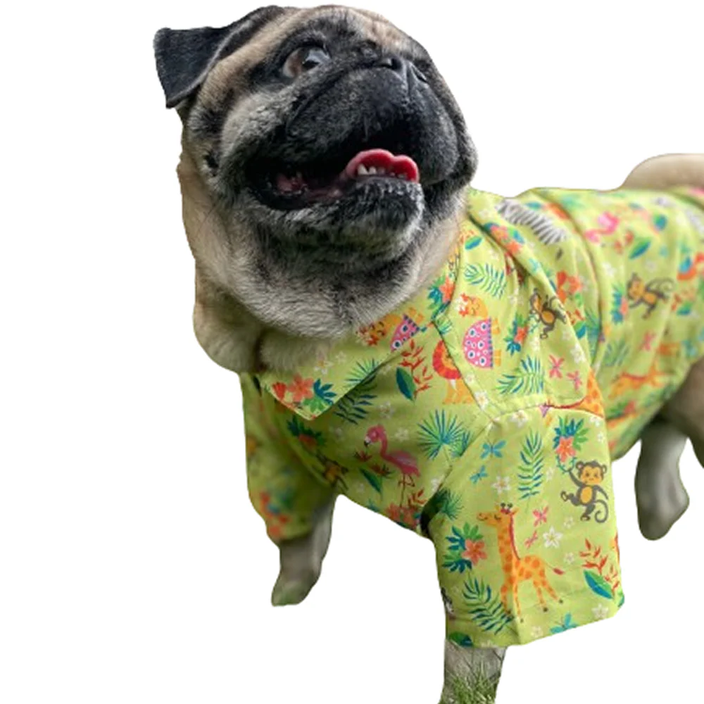 15buttons Madagascar Shirt for Dogs - Image 5