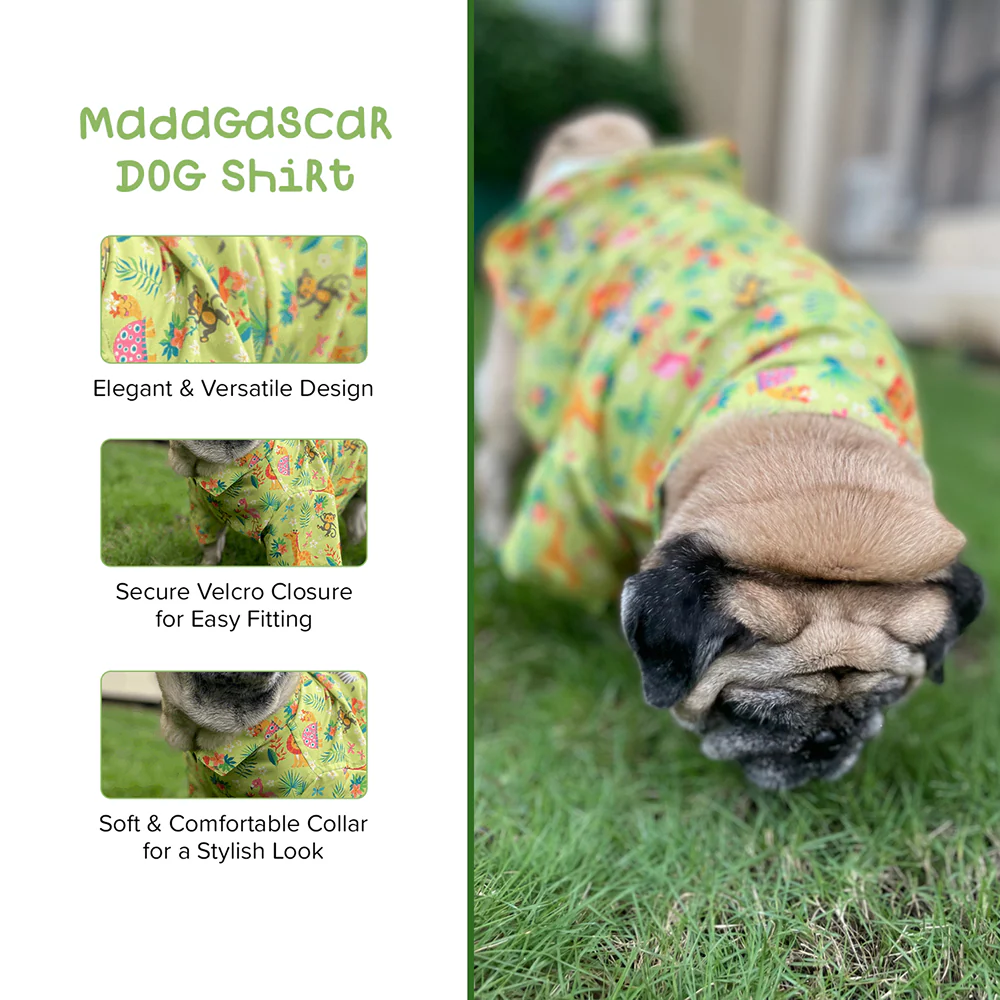 15buttons Madagascar Shirt for Dogs - Image 7