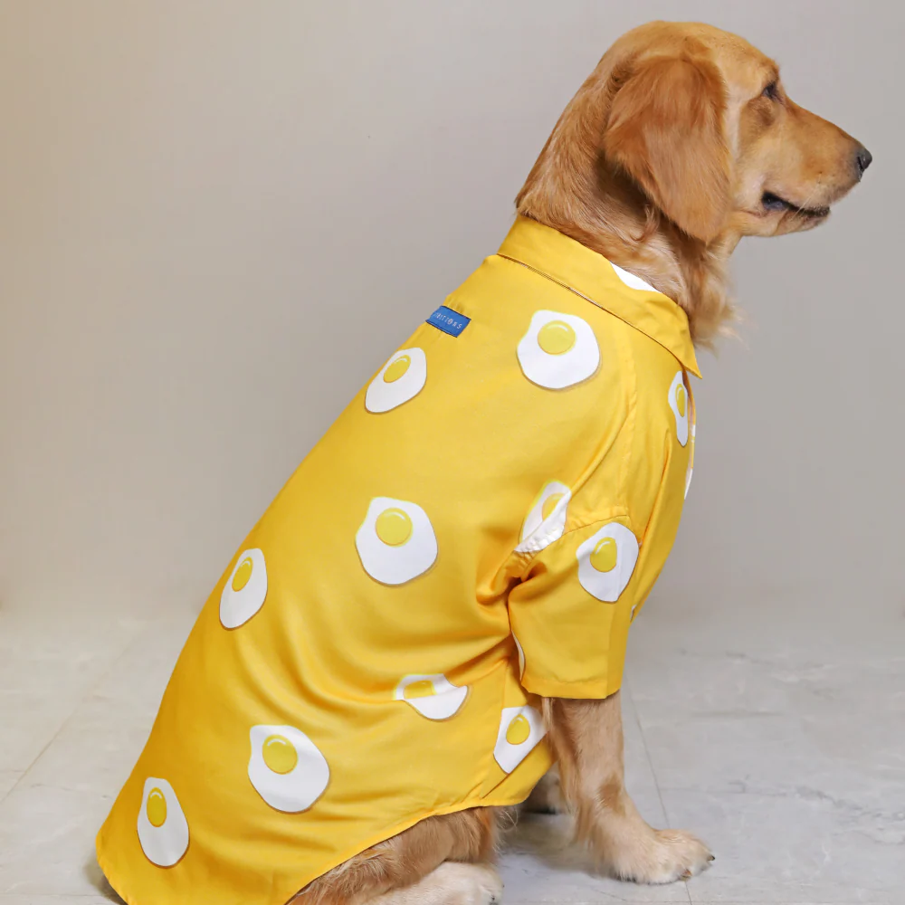 15buttons Sunny Side Up Shirt for Dogs - Image 2