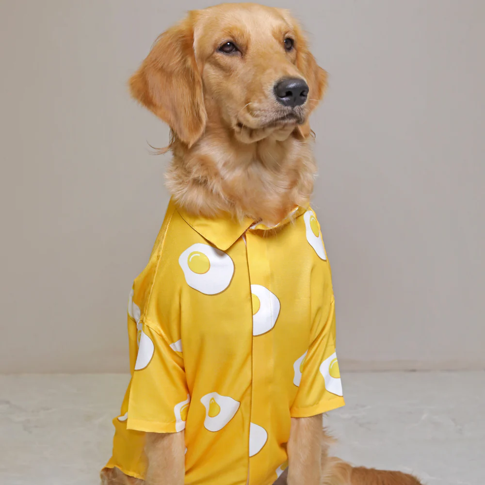15buttons Sunny Side Up Shirt for Dogs - Image 3