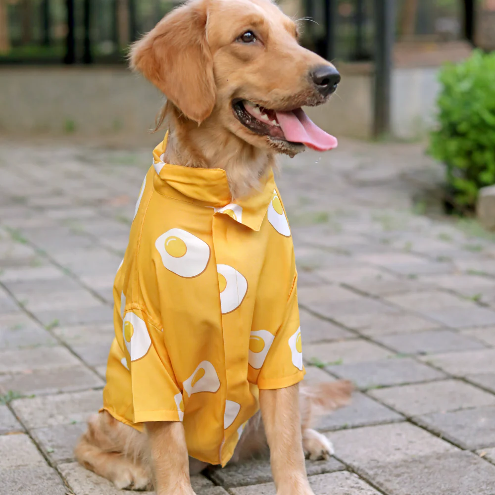 15buttons Sunny Side Up Shirt for Dogs - Image 4