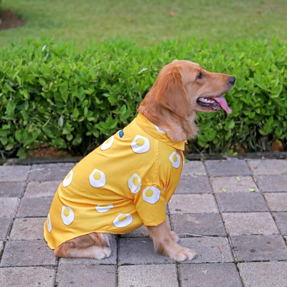 15buttons Sunny Side Up Shirt for Dogs - Image 5