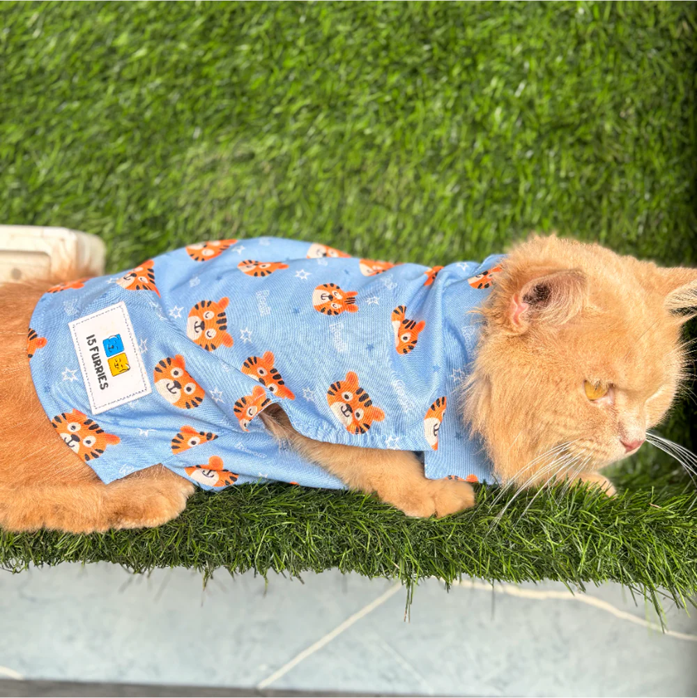 15 Furries Tiger Shirt for Cats (Orange and Blue) - Image 12