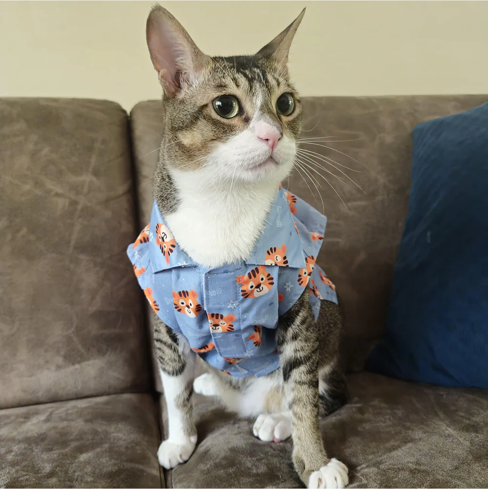 15 Furries Tiger Shirt for Cats (Orange and Blue) - Image 13
