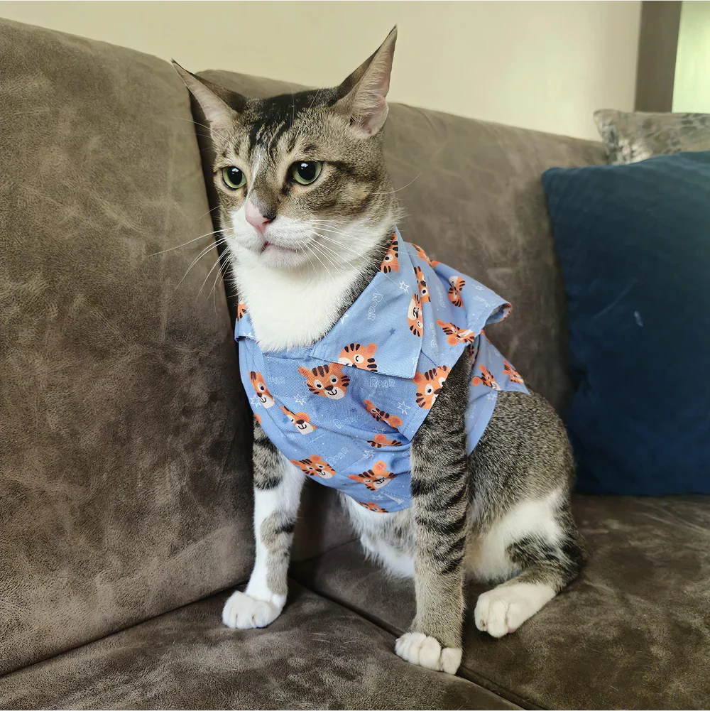 15 Furries Tiger Shirt for Cats (Orange and Blue) - Image 15