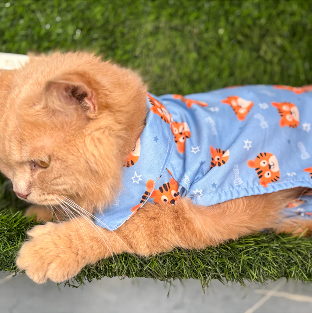 15 Furries Tiger Shirt for Cats (Orange and Blue) - Image 3