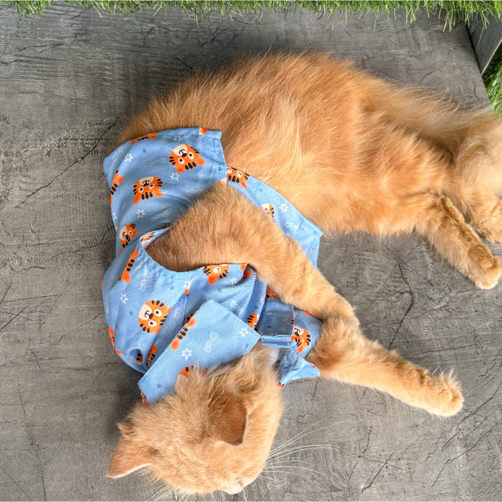15 Furries Tiger Shirt for Cats (Orange and Blue) - Image 5