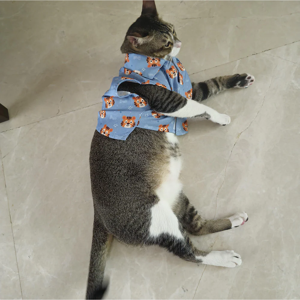 15 Furries Tiger Shirt for Cats (Orange and Blue) - Image 6