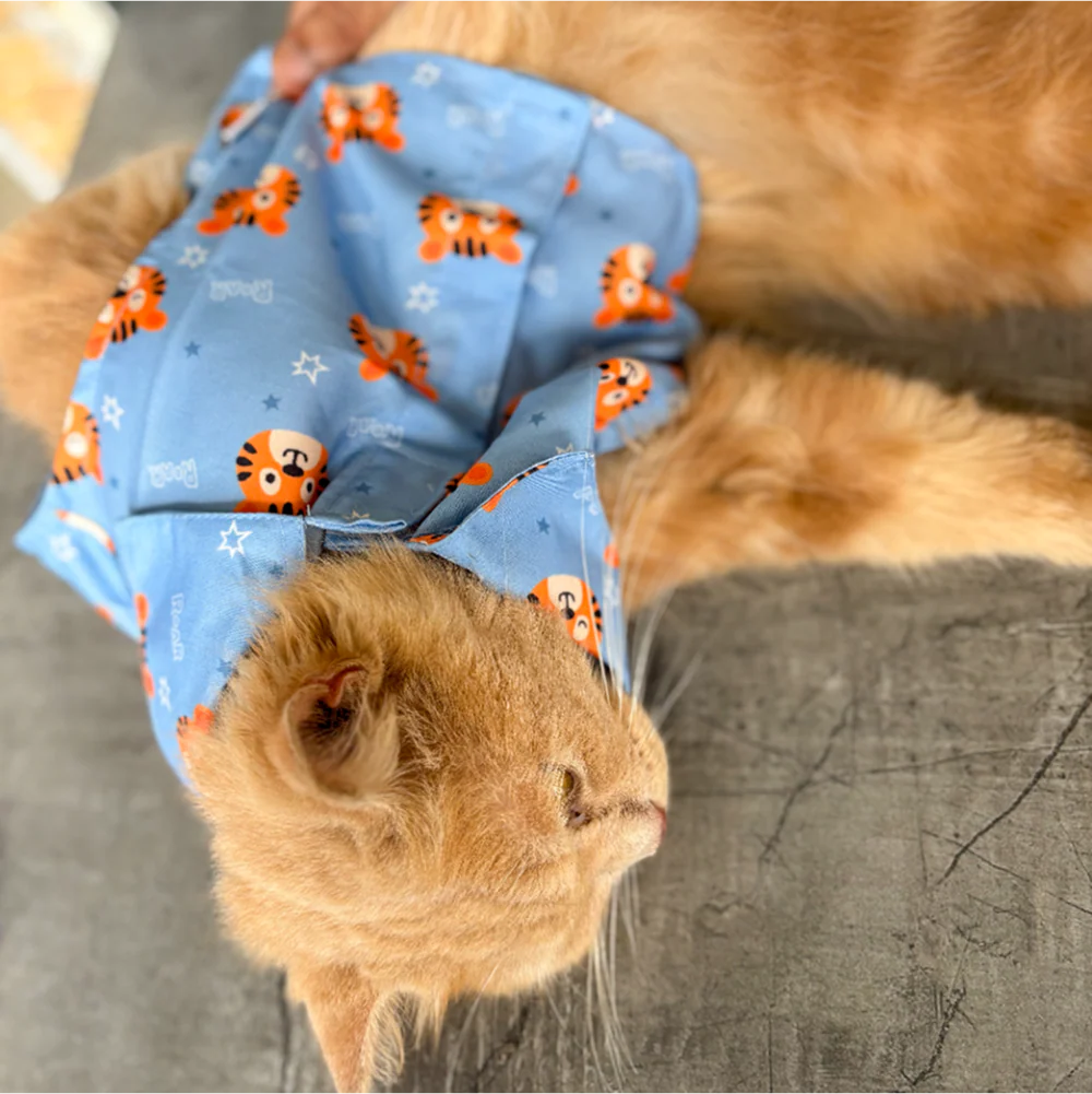 15 Furries Tiger Shirt for Cats (Orange and Blue) - Image 7