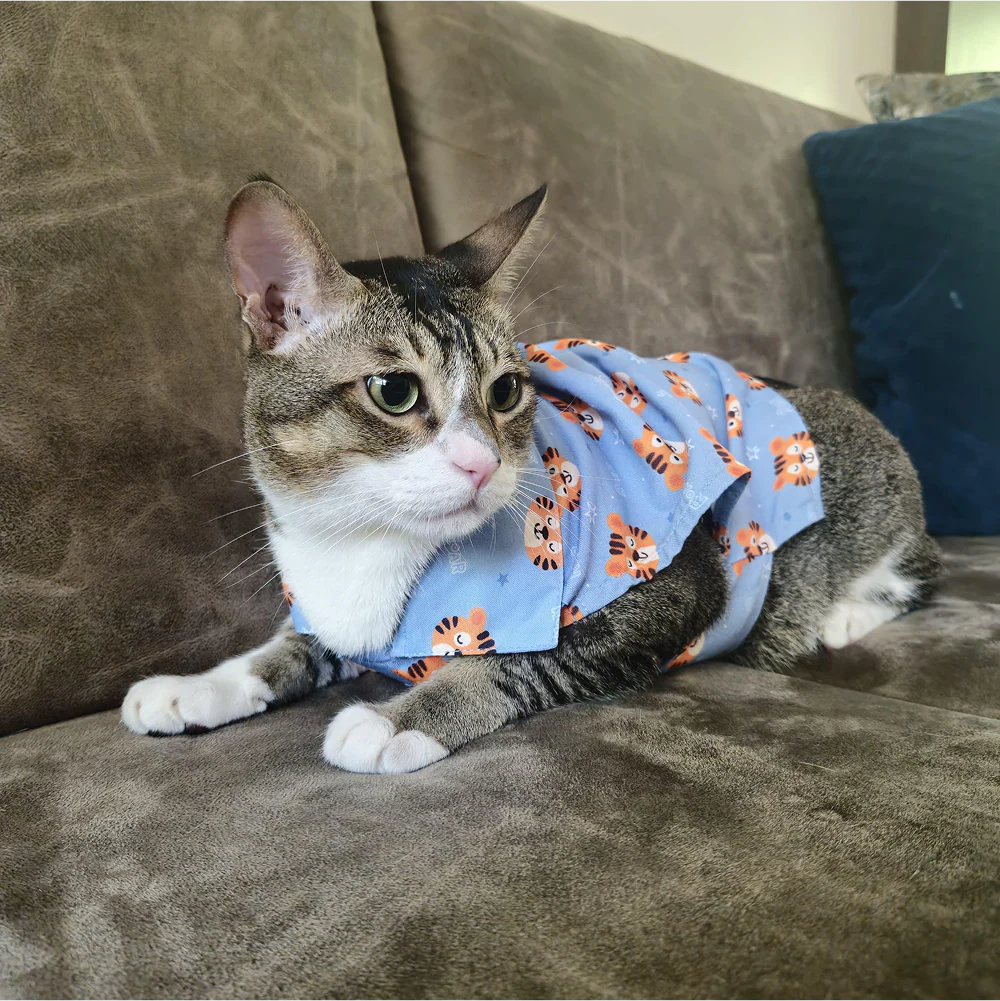 15 Furries Tiger Shirt for Cats (Orange and Blue) - Image 9