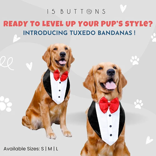 15buttons Tuxedo Bandana for Dogs - Image 3
