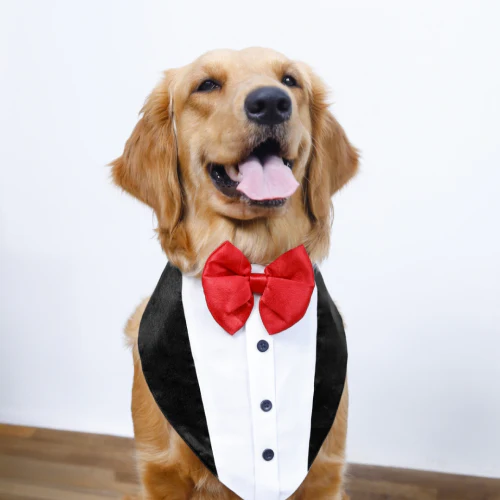 15buttons Tuxedo Bandana for Dogs - Image 4