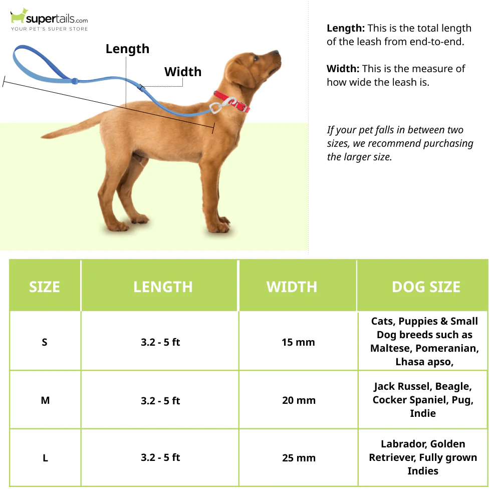 A Plus A Click & Lock Hook Tetris Design Leash for Dogs and Cats - Image 2